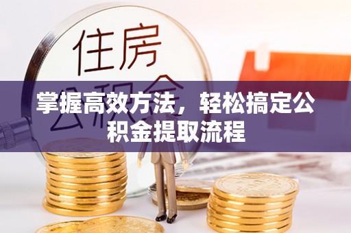 绿园掌握高效方法，轻松搞定公积金提取流程