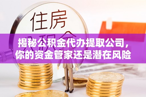 绿园揭秘公积金代办提取公司，你的资金管家还是潜在风险？