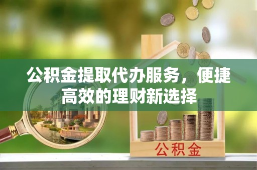 绿园公积金提取代办服务，便捷高效的理财新选择